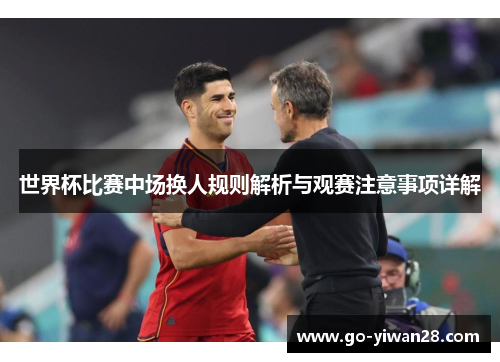 世界杯比赛中场换人规则解析与观赛注意事项详解